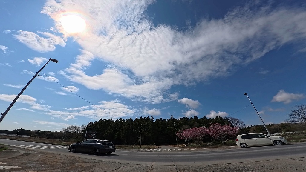 茨城県 メロンロード